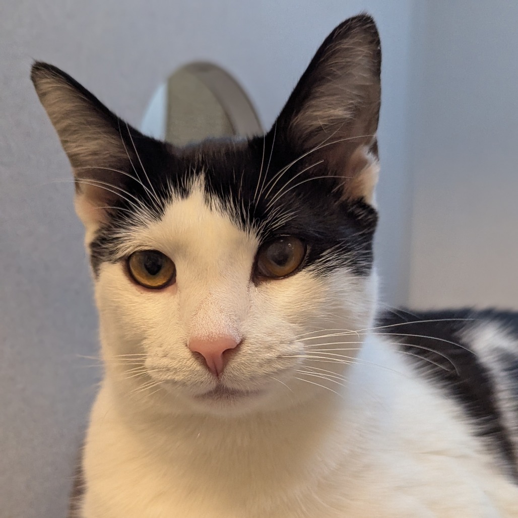 Photo of Huey Lewis 6