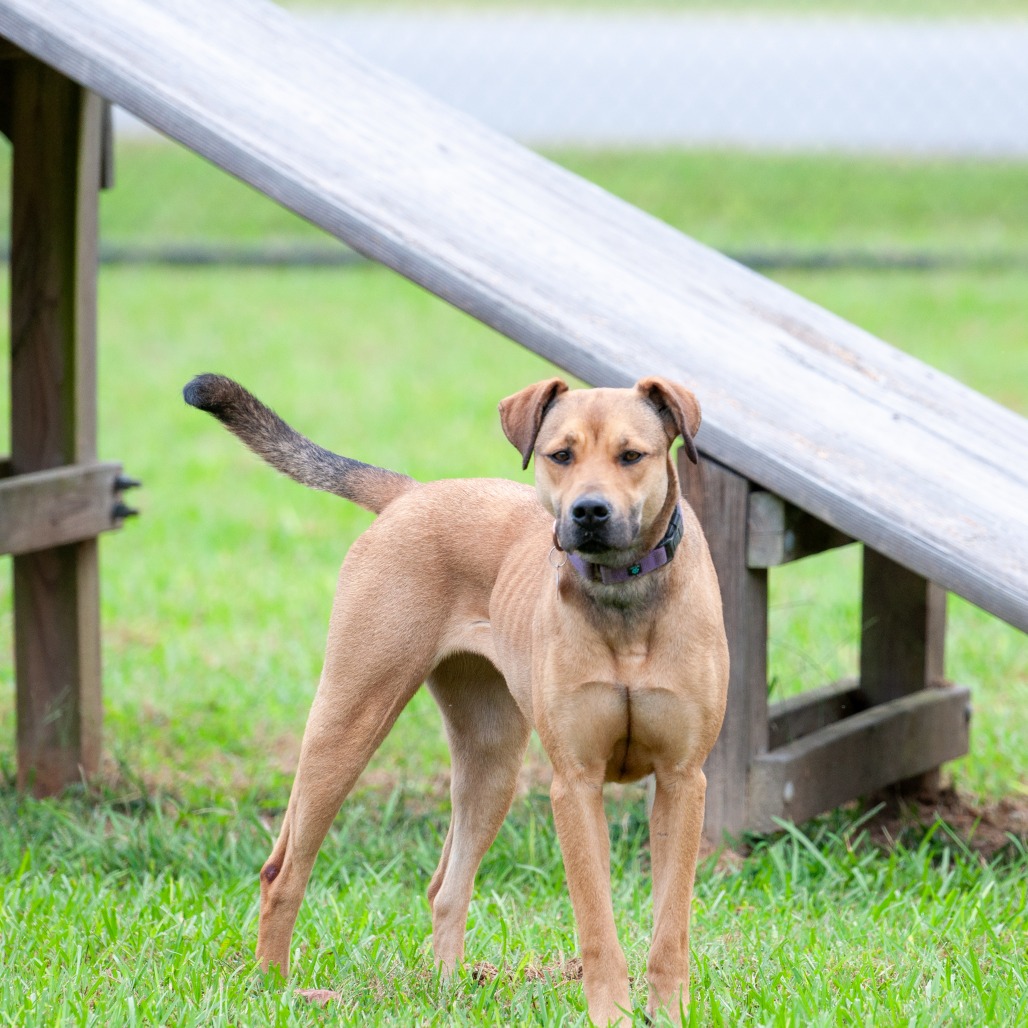 Perdita, photo 10