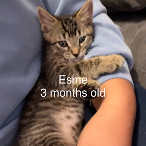 Esme C12415
