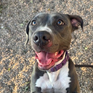 Lily — thumbnail 3