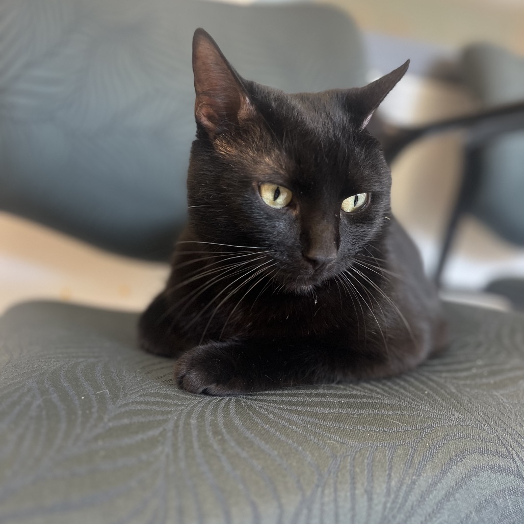 Binxy
