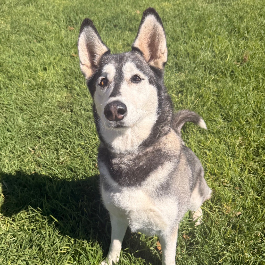 Tundra, photo 3