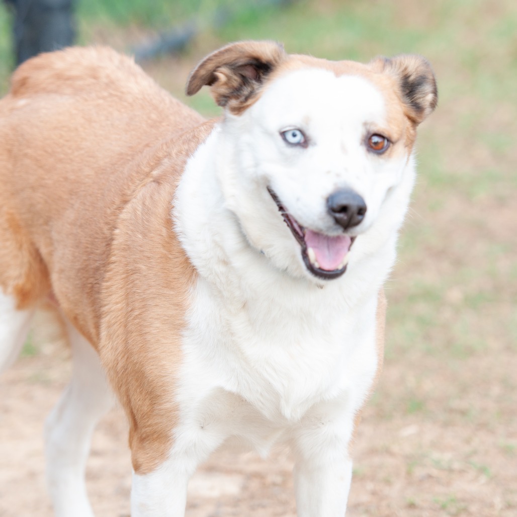 Sadie, photo 11