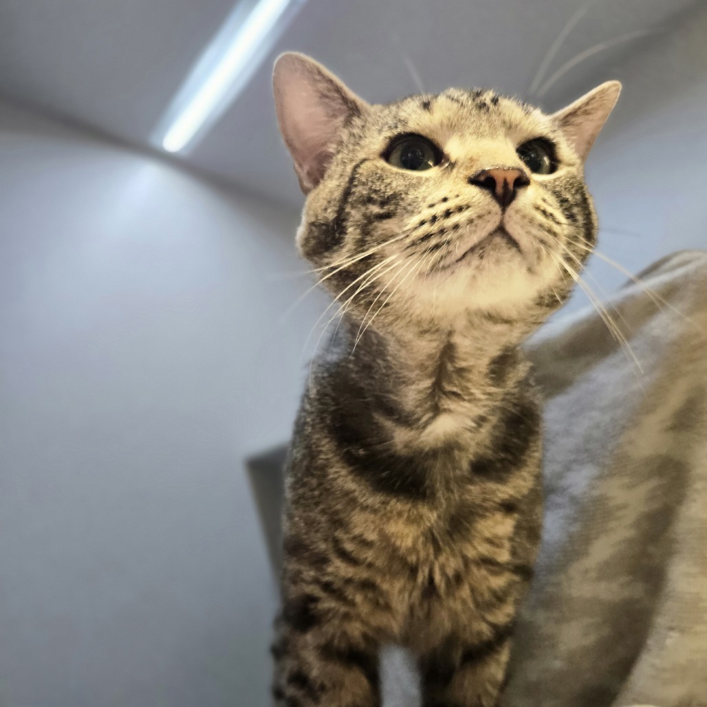 Photo of Sashimi 16