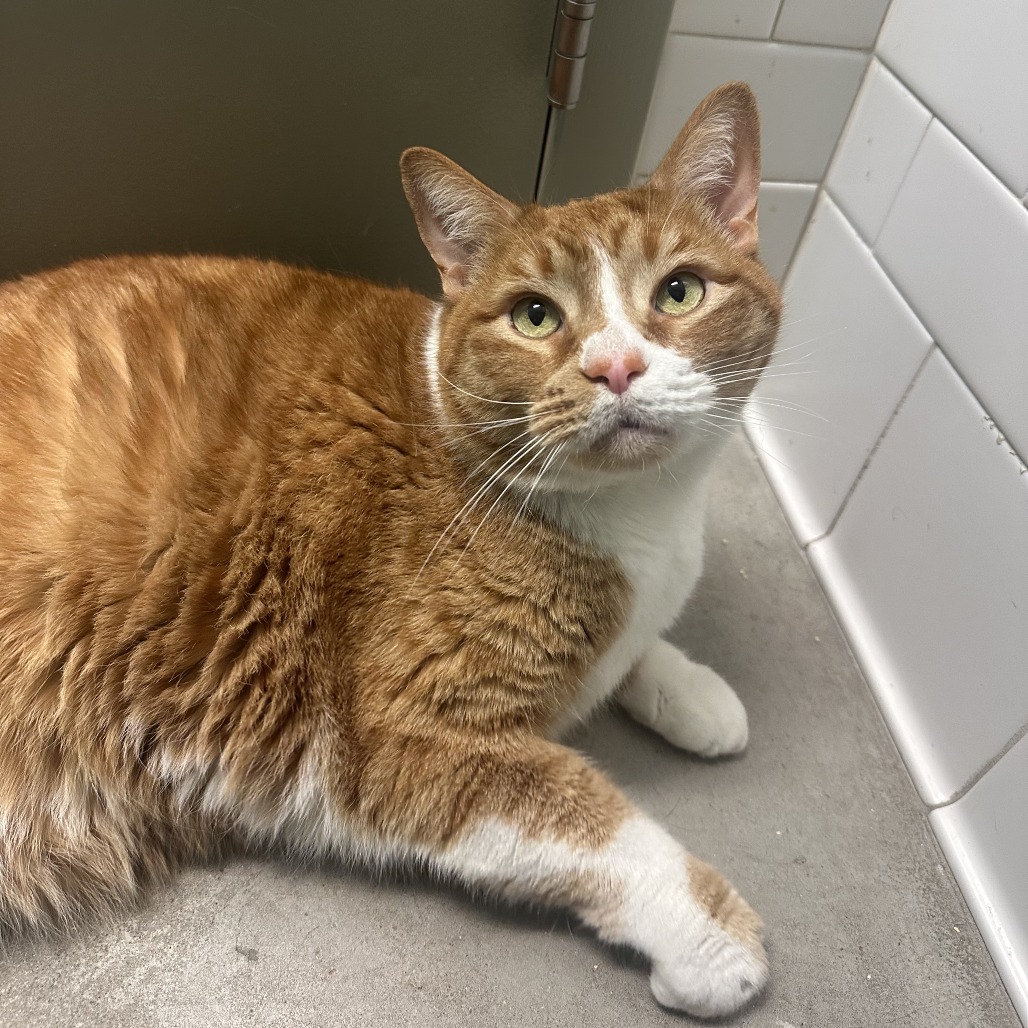 Photo of Freddy and QZ