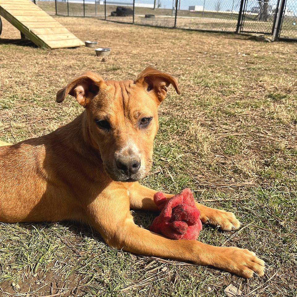 Namine — thumbnail 5