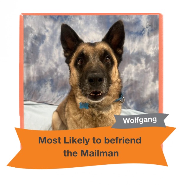 Wolfgang, photo 19