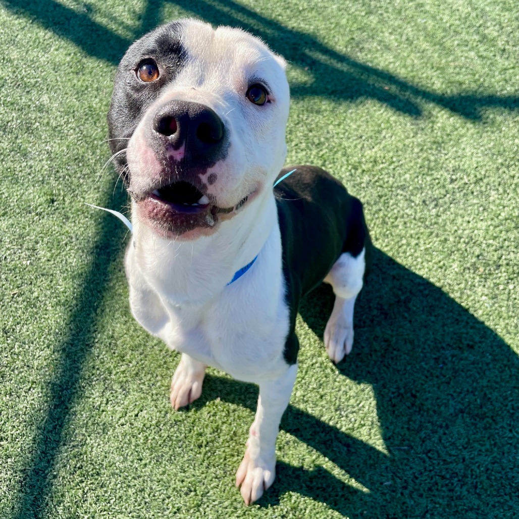 JALEN J — thumbnail 9