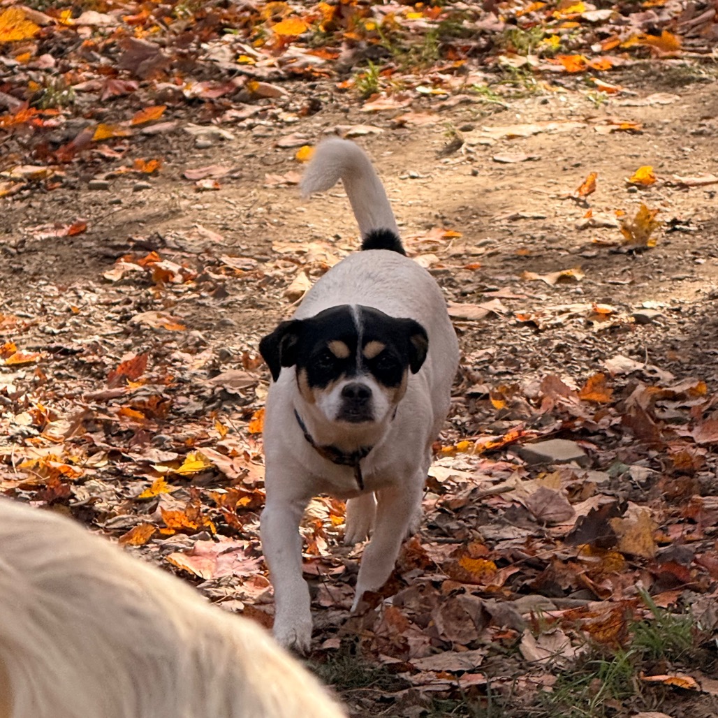 MYA, photo 14
