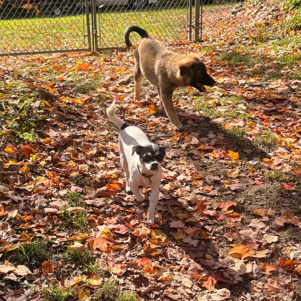 MYA, photo 12