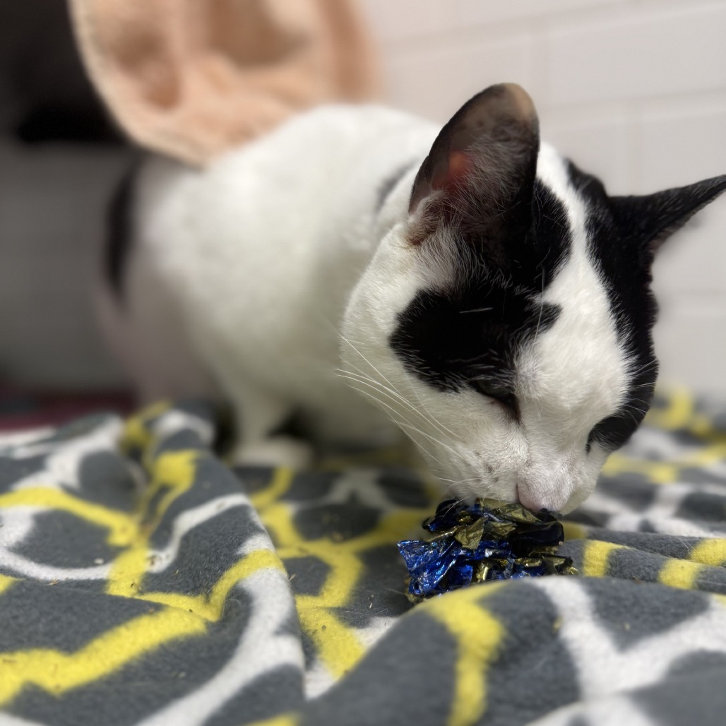 Photo of QZ and Freddy 7