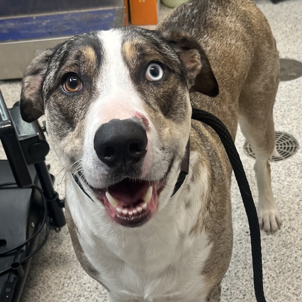 Yuki — thumbnail 2