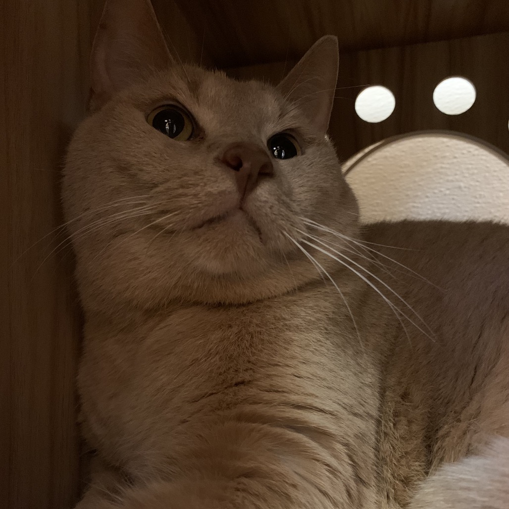 Theo, photo 6