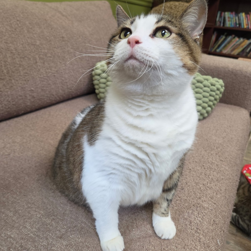 Annie "Her Royal Highness" Lump, photo 3