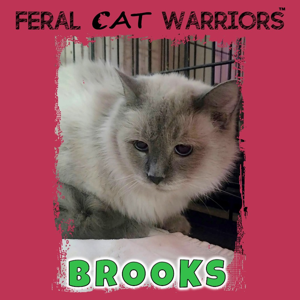 Brooks