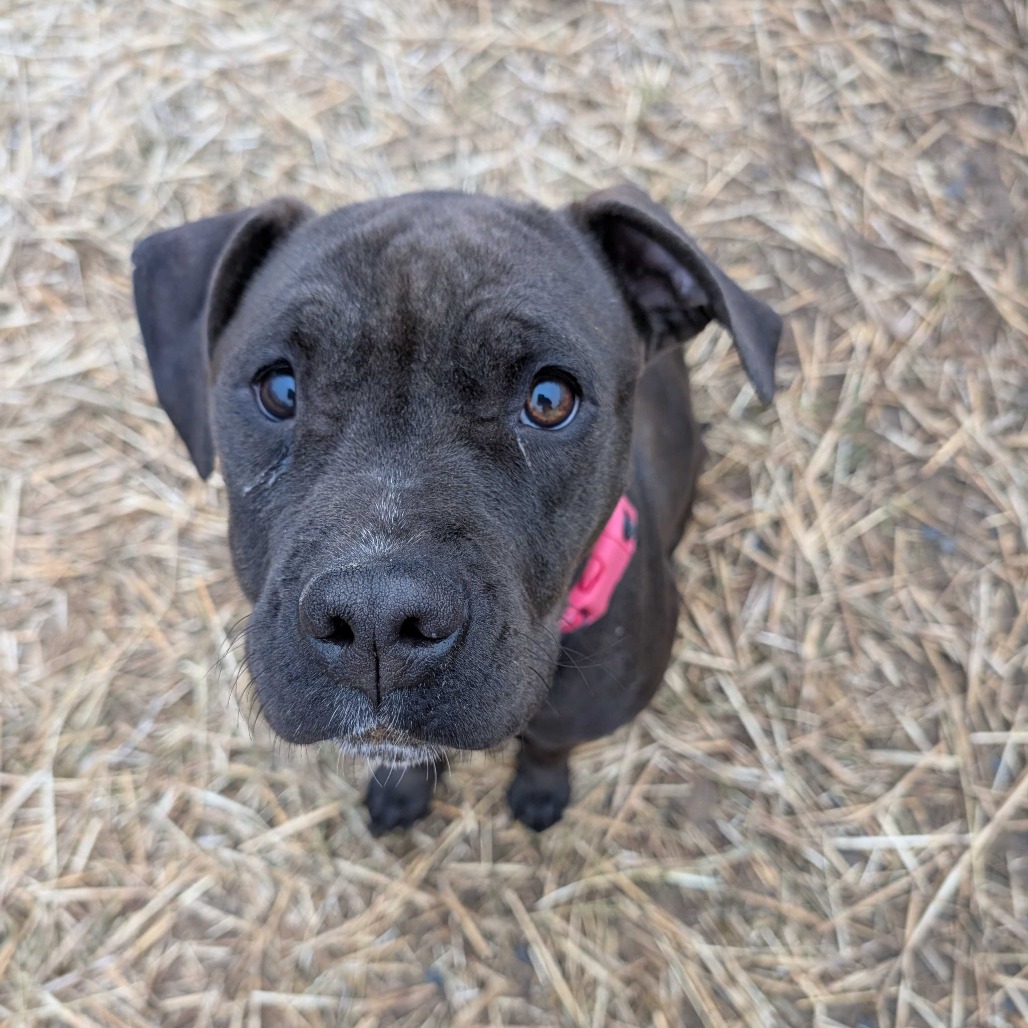 Mary Alice — thumbnail 4