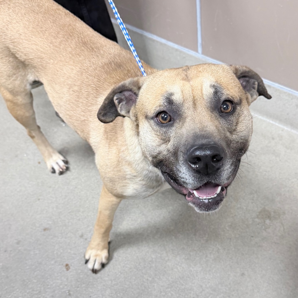 Kennel#5 's preview photo