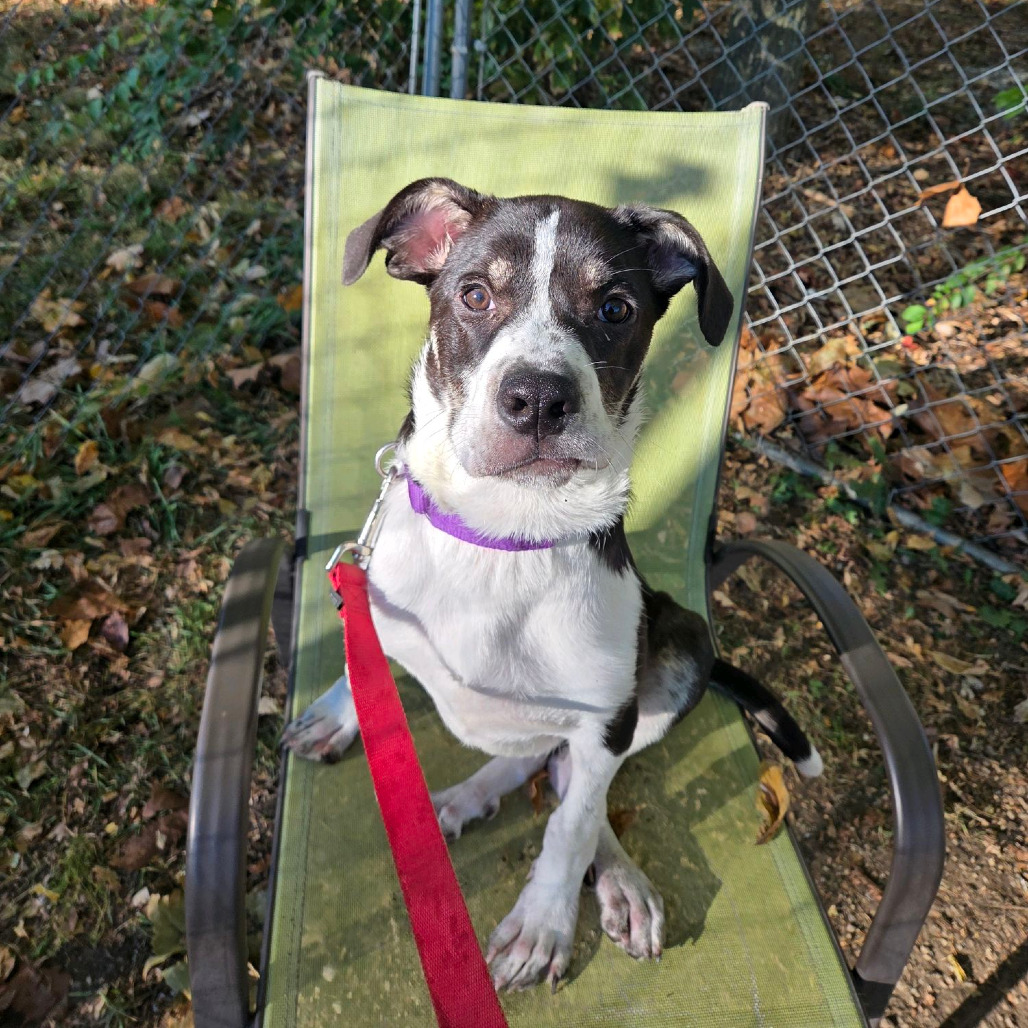Taffy, photo 21
