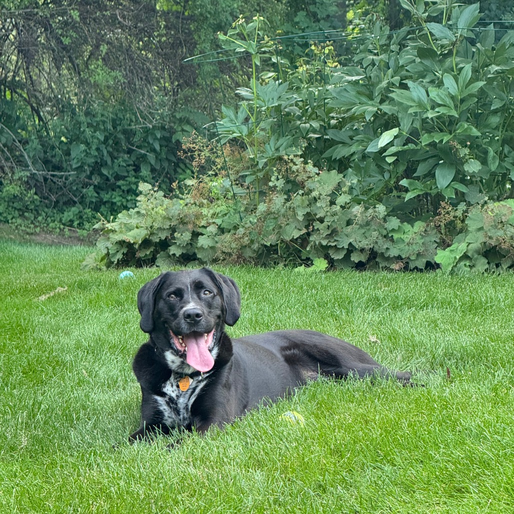 Buddy 6.