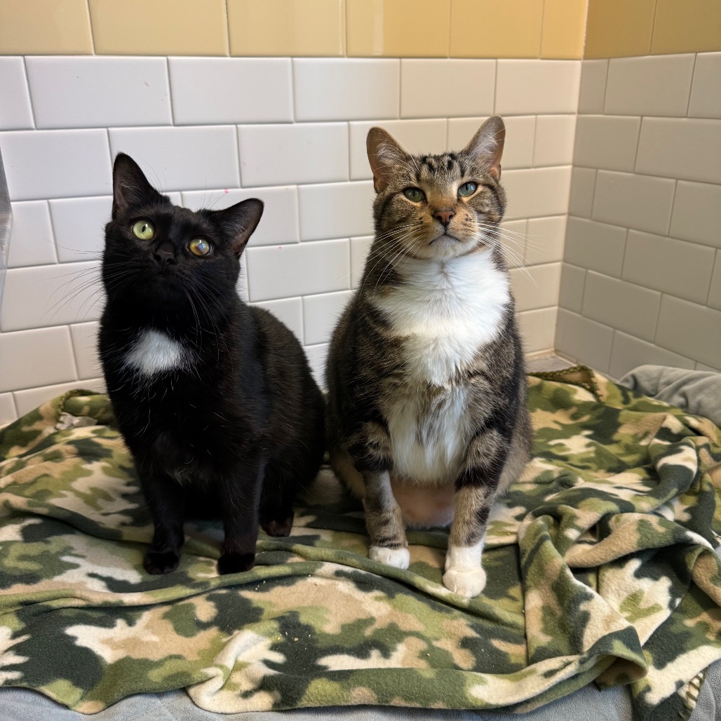 Photo of Hope and Tucker 6