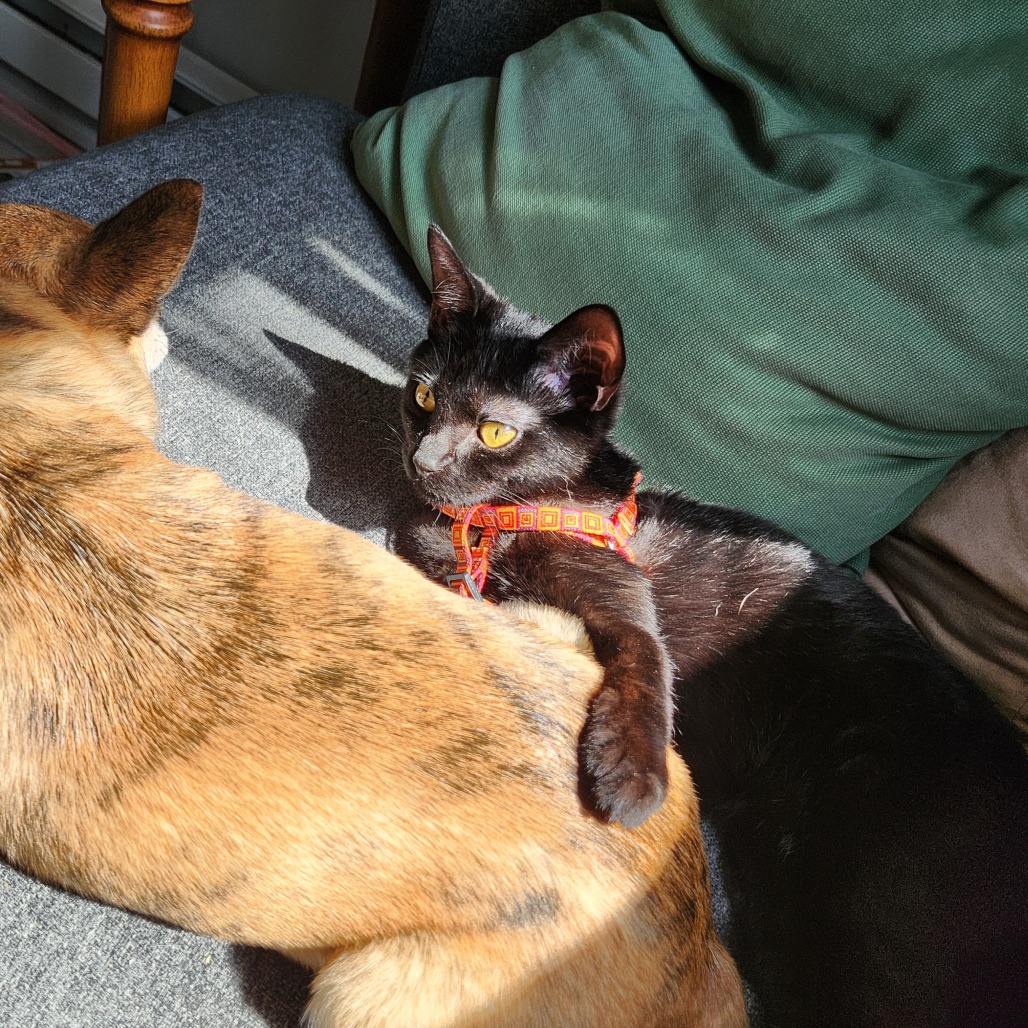 Just Raisins, photo 26