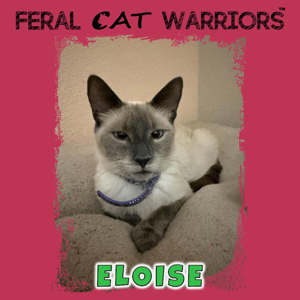 Eloise