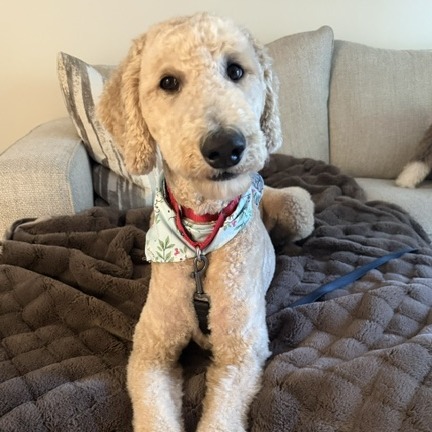 Ellie Mae