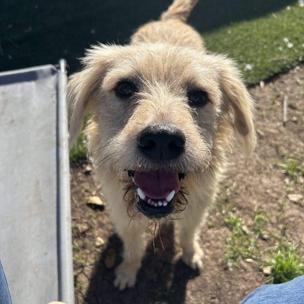 Baxter2, photo 9