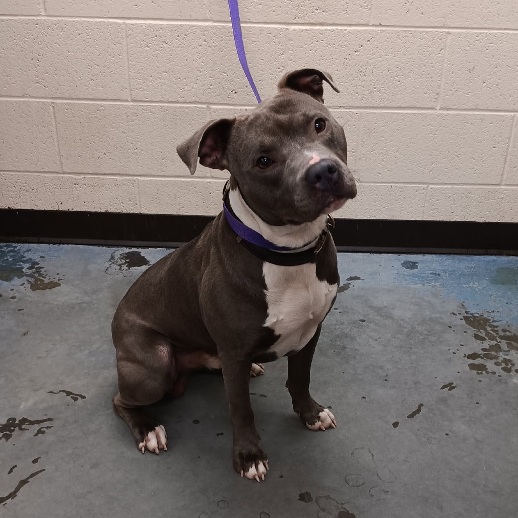 Ghost — thumbnail 4