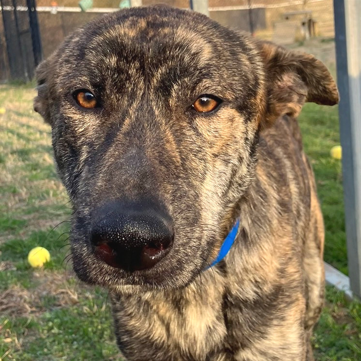 Hades — thumbnail 2