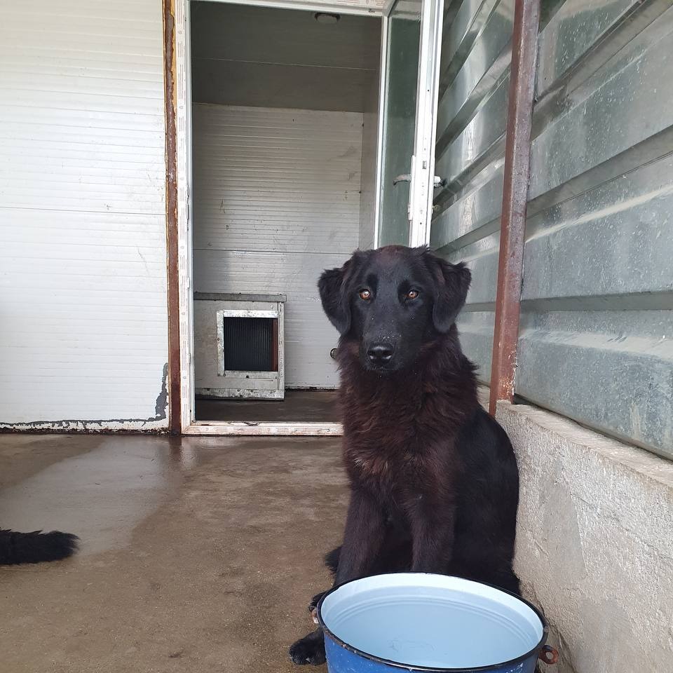 Bloom/ TPP Tabitha/ Sanpetru 17.01.2024 3F/ Inquiry HRE