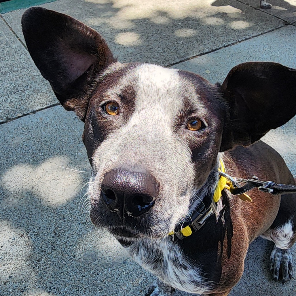 KAI, photo 9