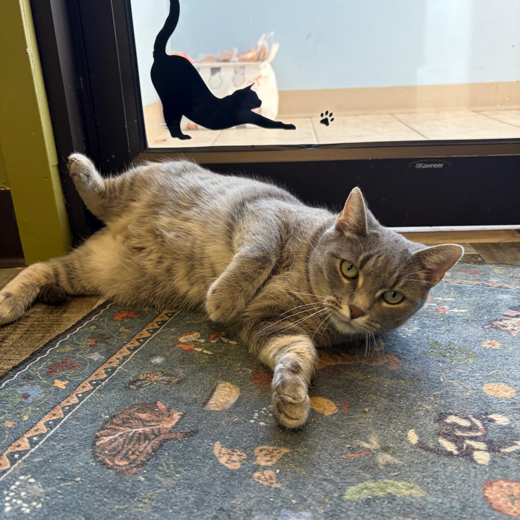 Olive G., photo 12