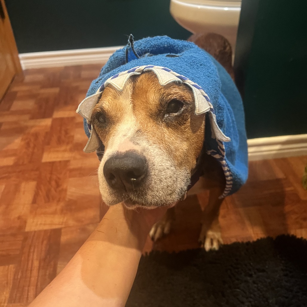 Oliver, additional photo