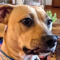 Twinkle Toes — thumbnail 3