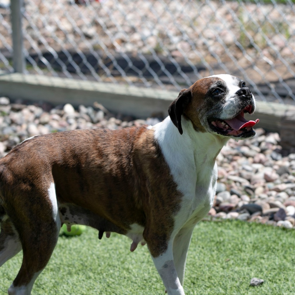 Lil Ruby (JN26-09), photo 5