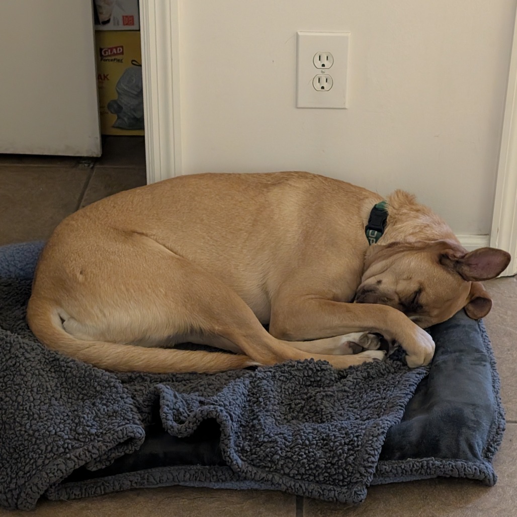 KASHA, photo 25