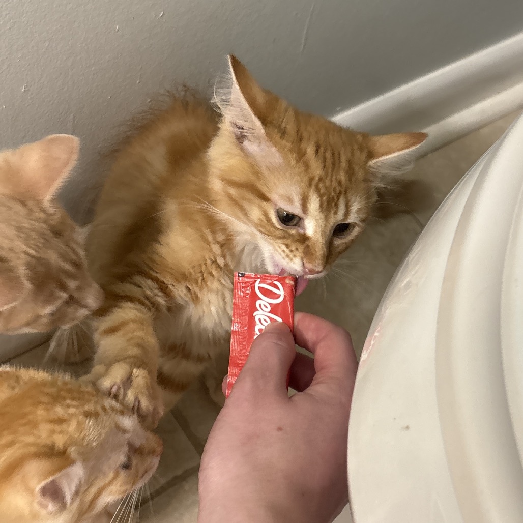 e48d053057668e51d987f68242d8a08a.jpeg
