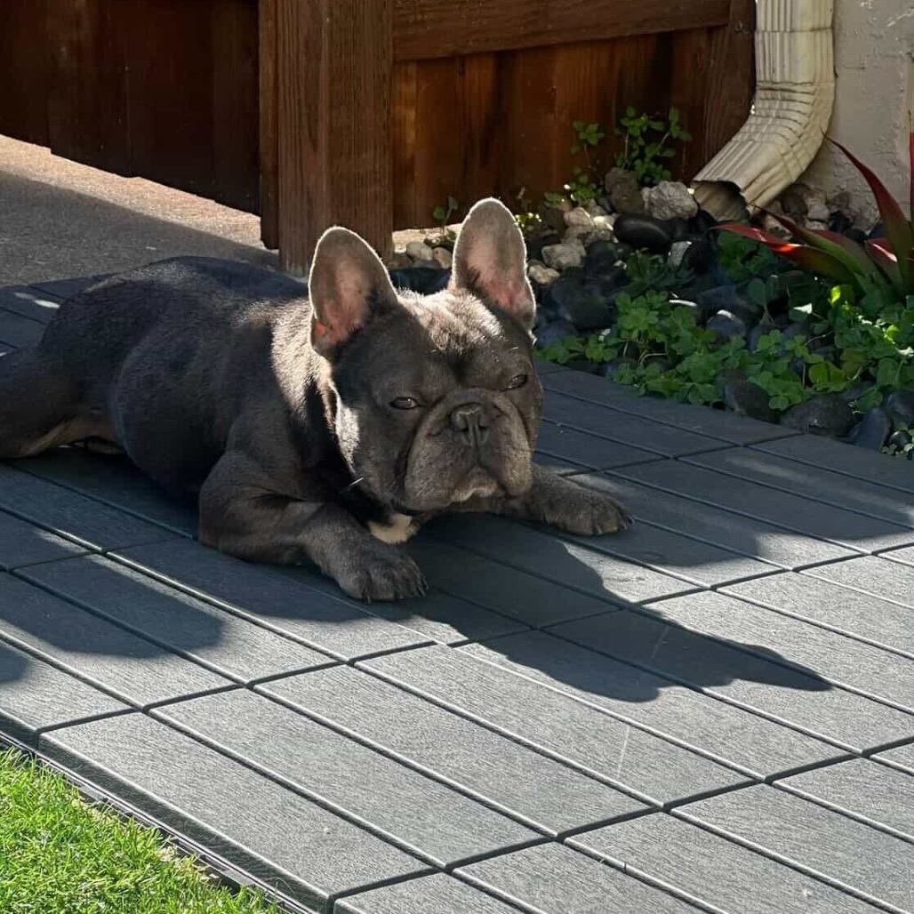 Angelito — thumbnail 3