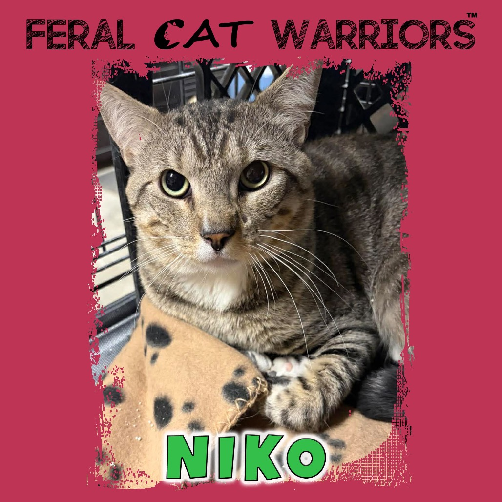 Niko