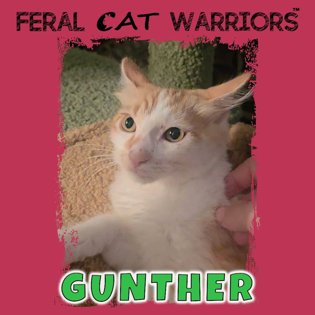 Gunther