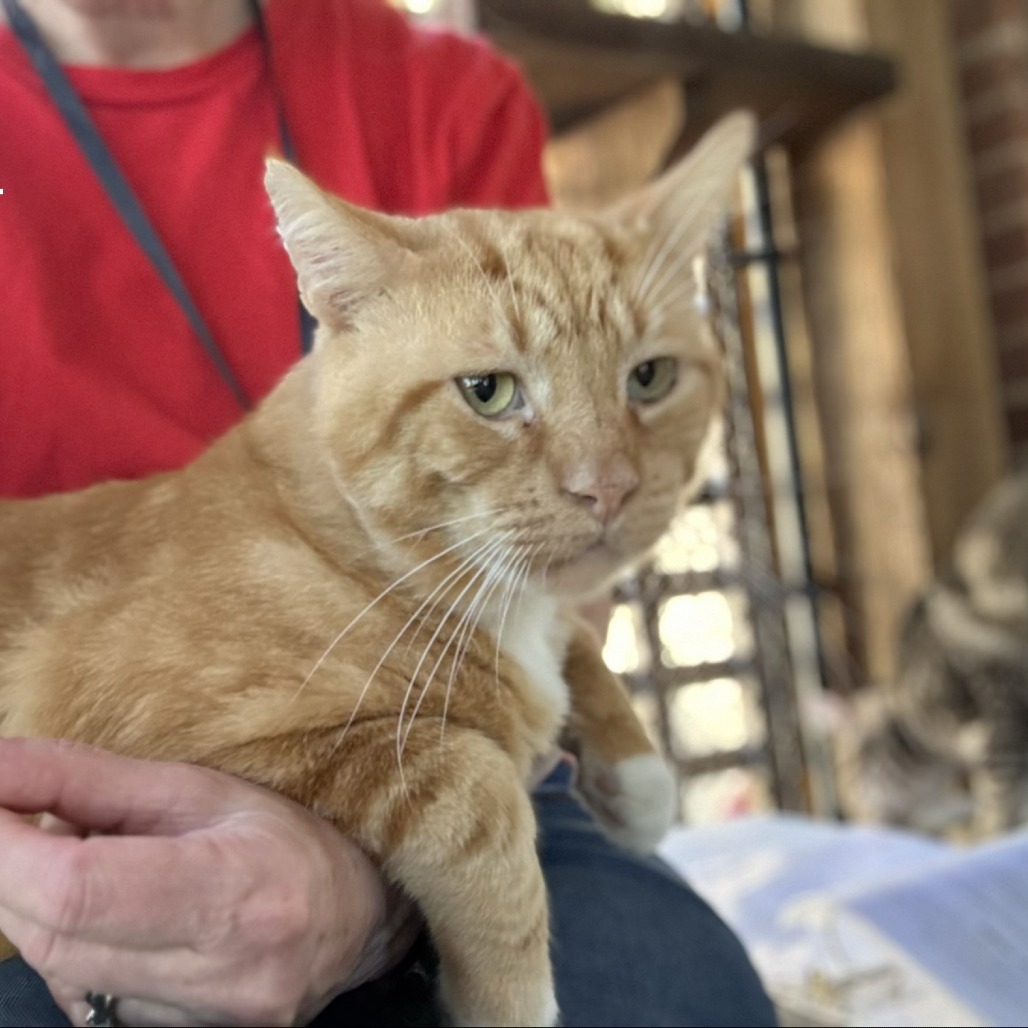 Carl