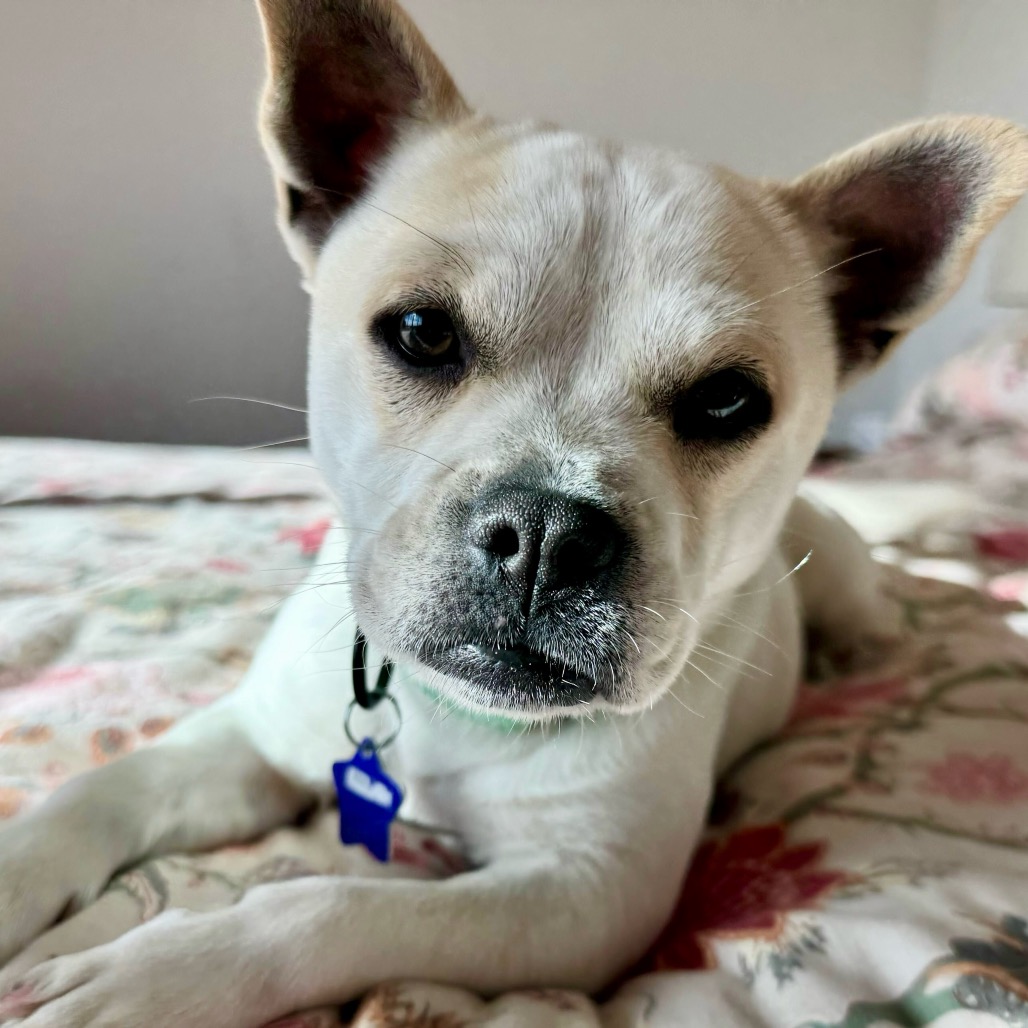 Margaret — thumbnail 5