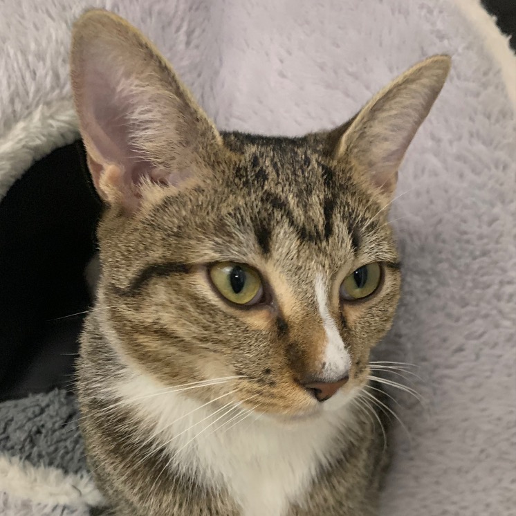 Full body shot of Wanderin’ Winnie