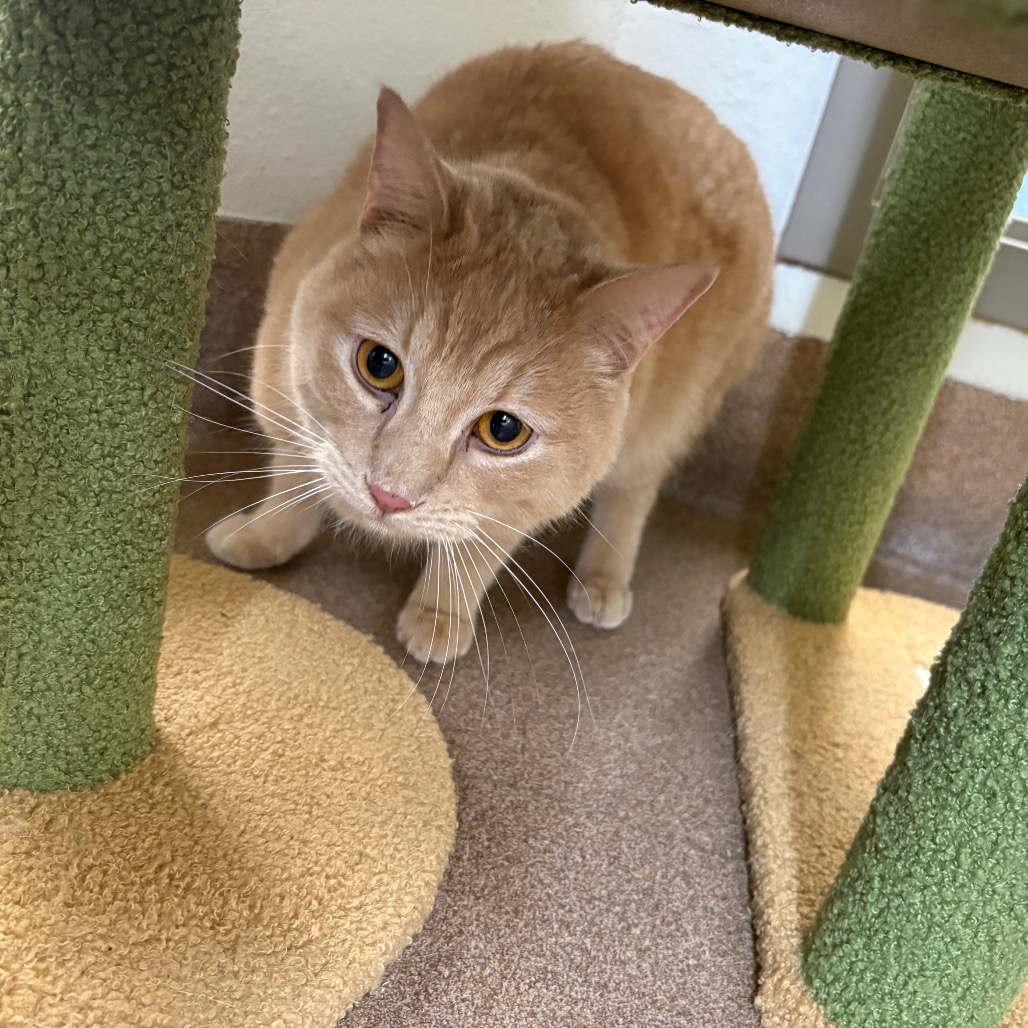 Zeus — thumbnail 4