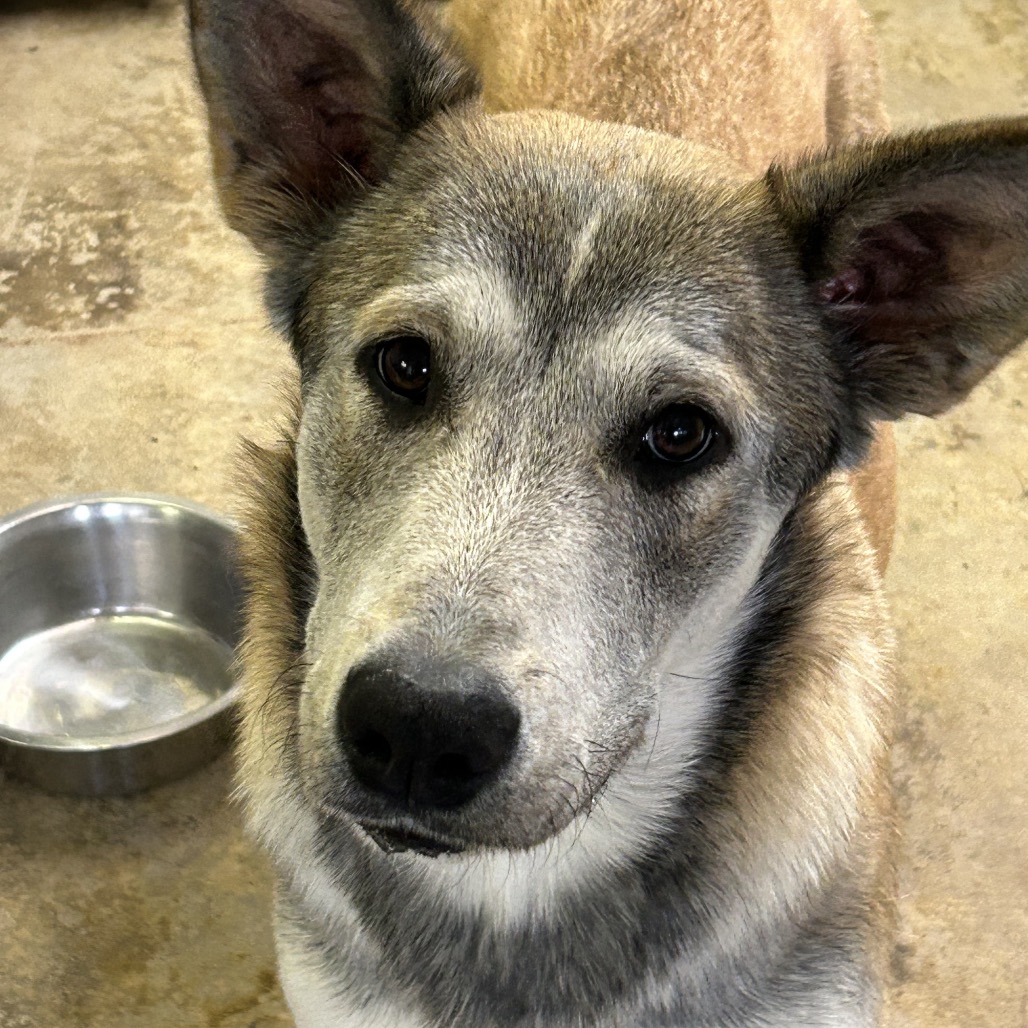 Georgia — thumbnail 2