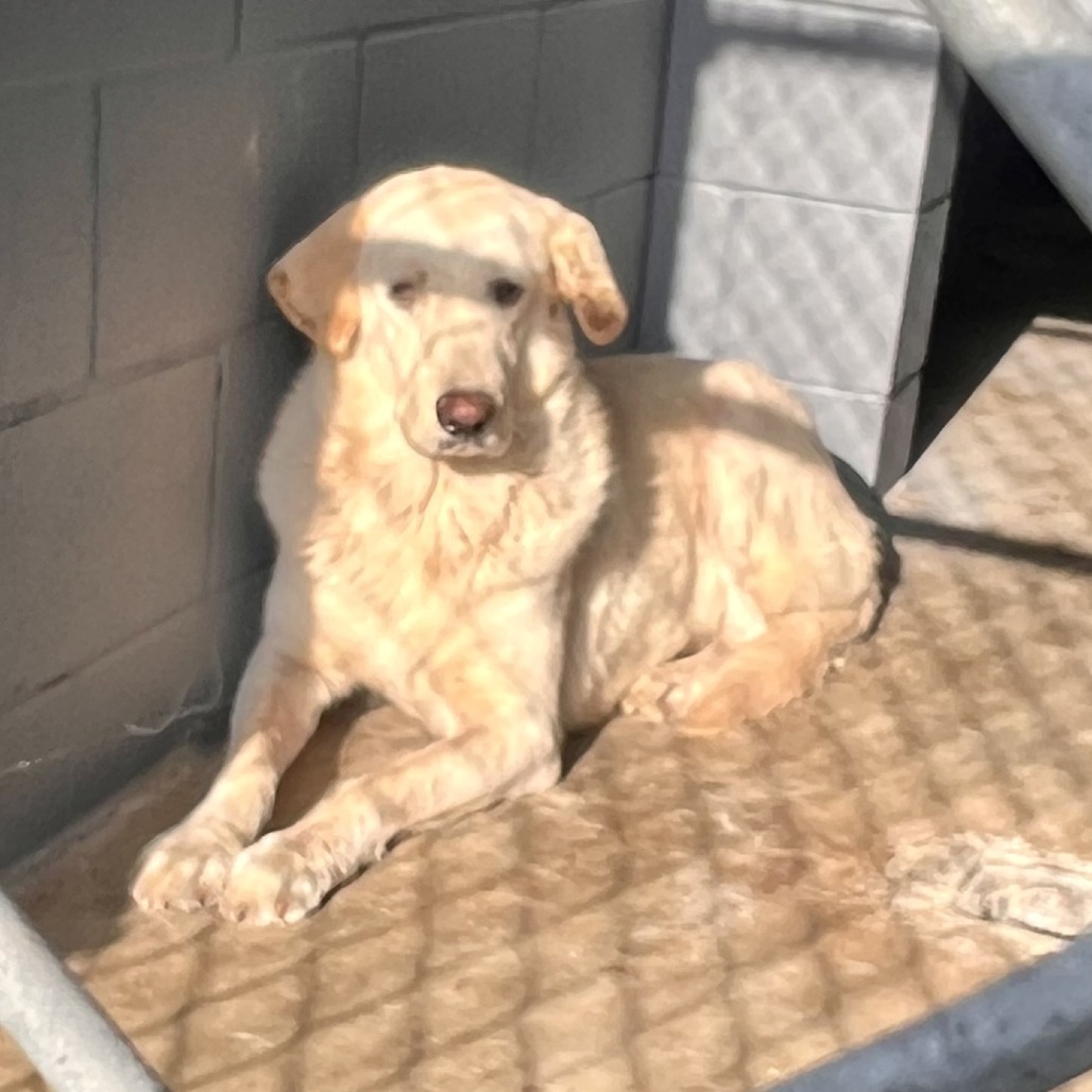 Betty, additional photo