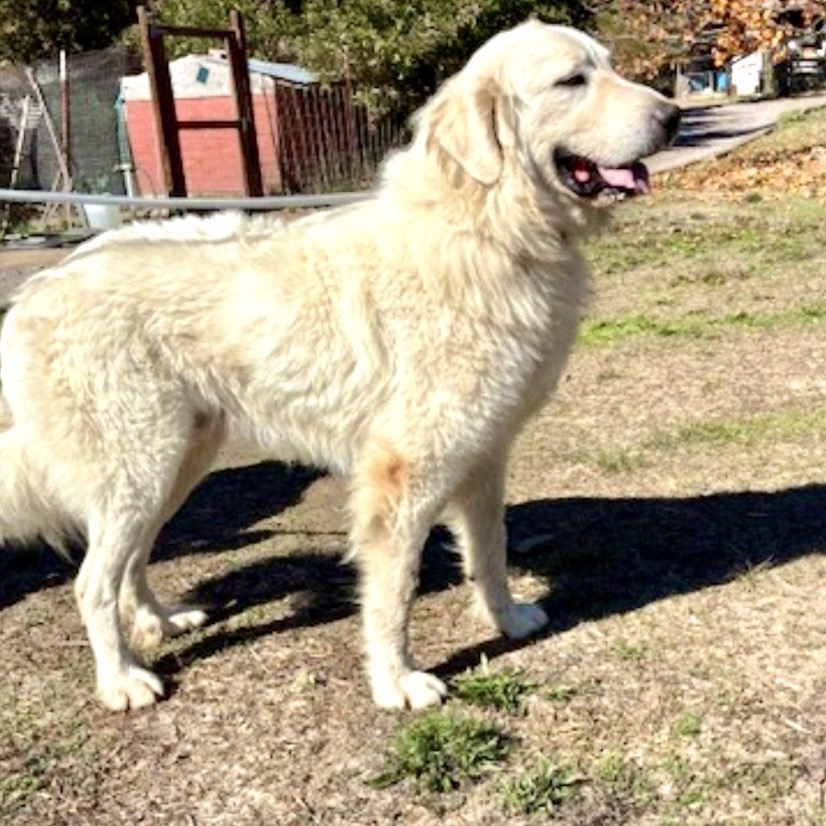 SAMMY, photo 6