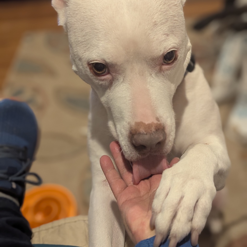Zoey (fka Sonic), photo 12