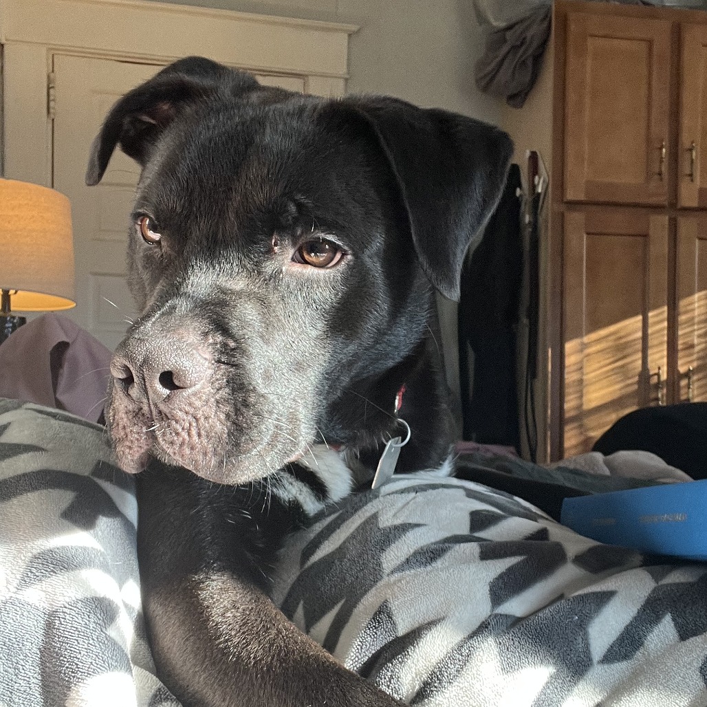 Zenith — thumbnail 2